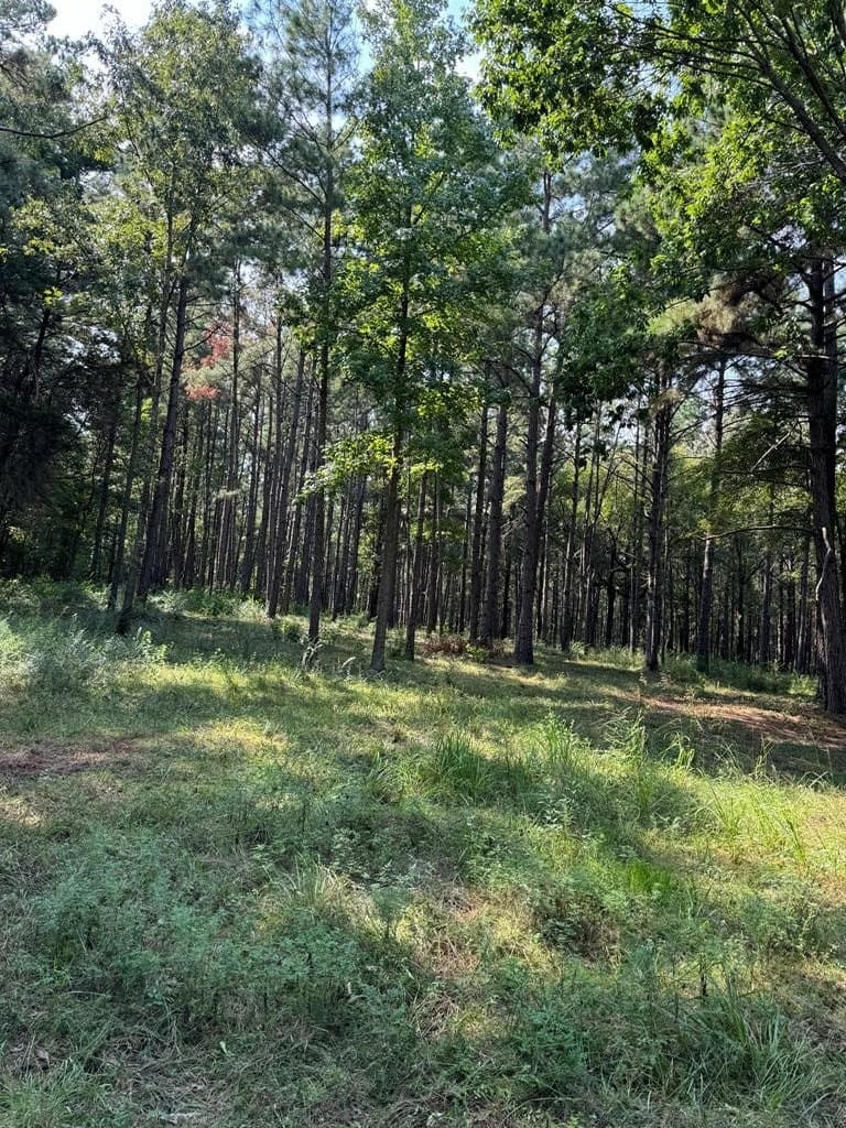 37.79 acres in Texas County gallery image 3