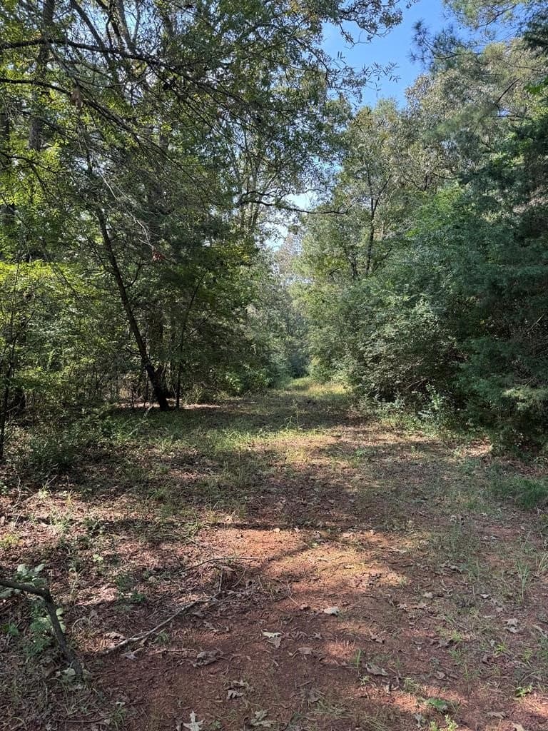 37.79 acres in Texas County - photo 10