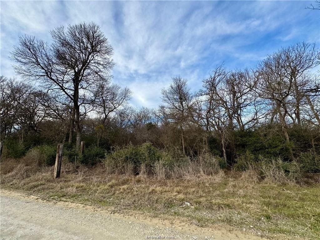 3.2 acres in Robertson County gallery image 2