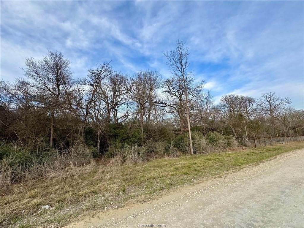 3.2 acres in Robertson County gallery image 3