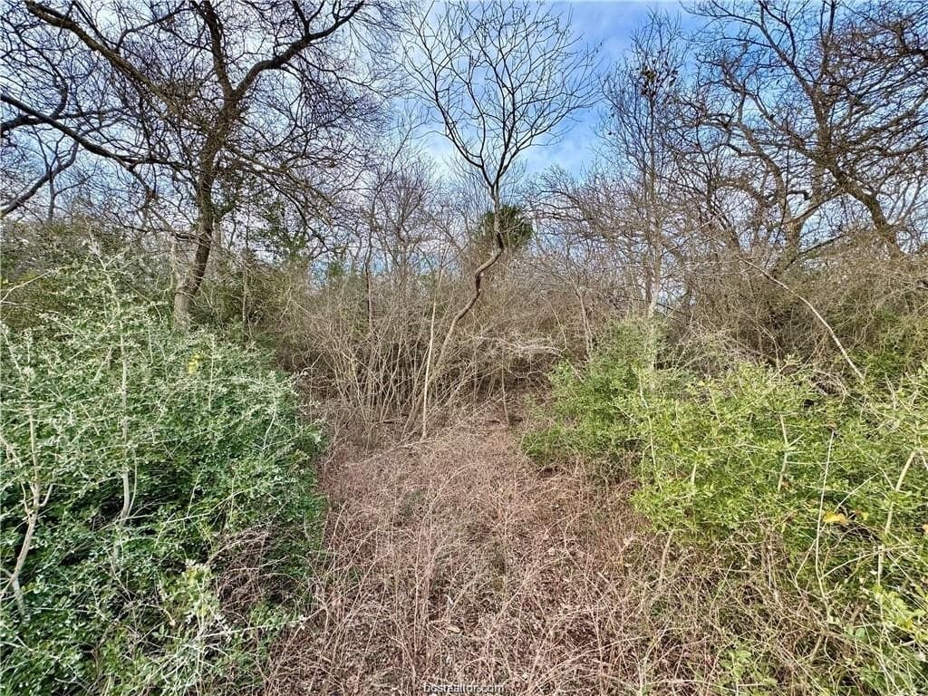 3.2 acres in Robertson County featured view