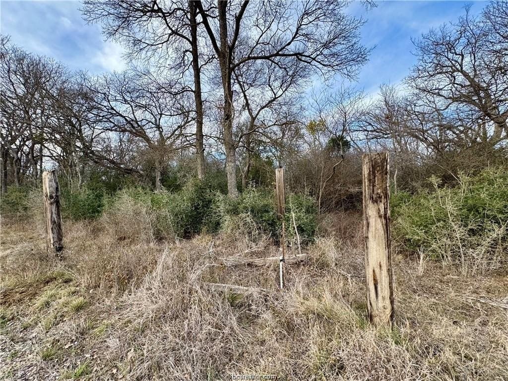3.2 acres in Robertson County gallery image 4