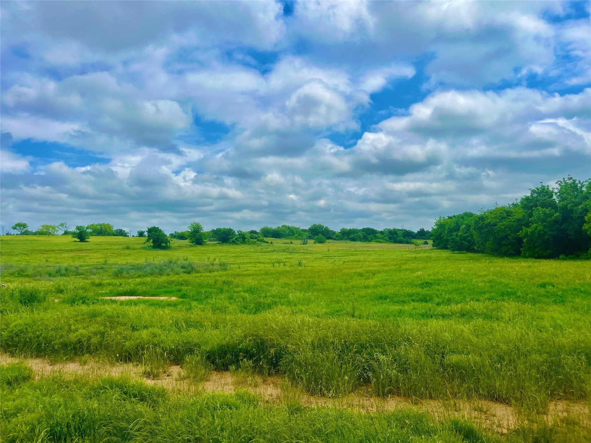 2.06 acres in Parker County - photo 3