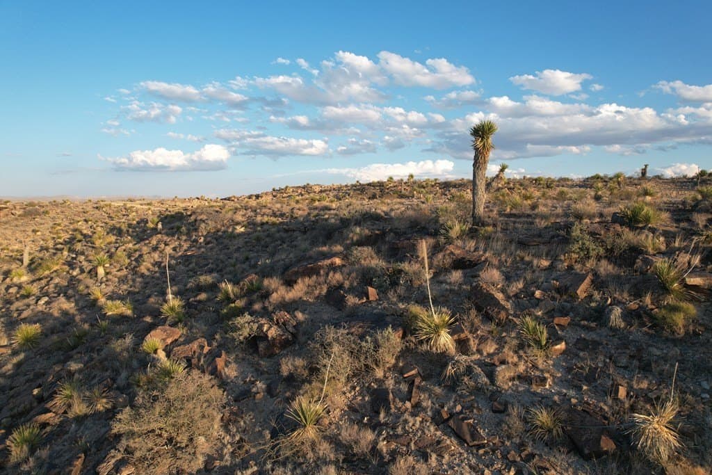 20.02 acres in Hudspeth County gallery image 3