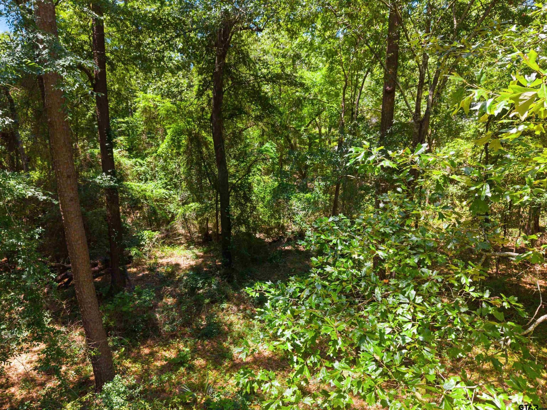 2.1 acres in Smith County - photo 8