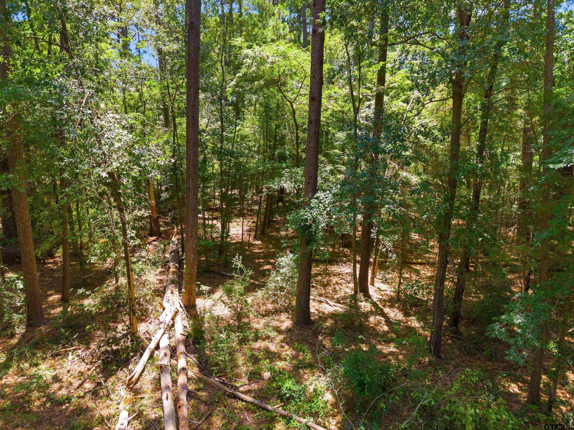 2.1 acres in Smith County gallery image 2