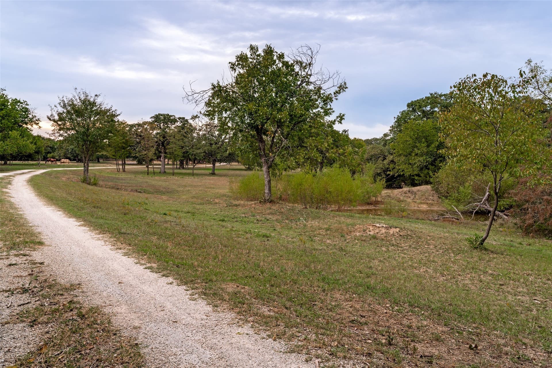 31.09 acres in Cooke County - photo 34