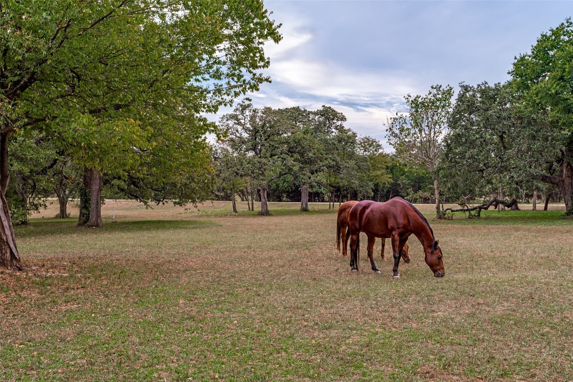 31.09 acres in Cooke County - photo 6