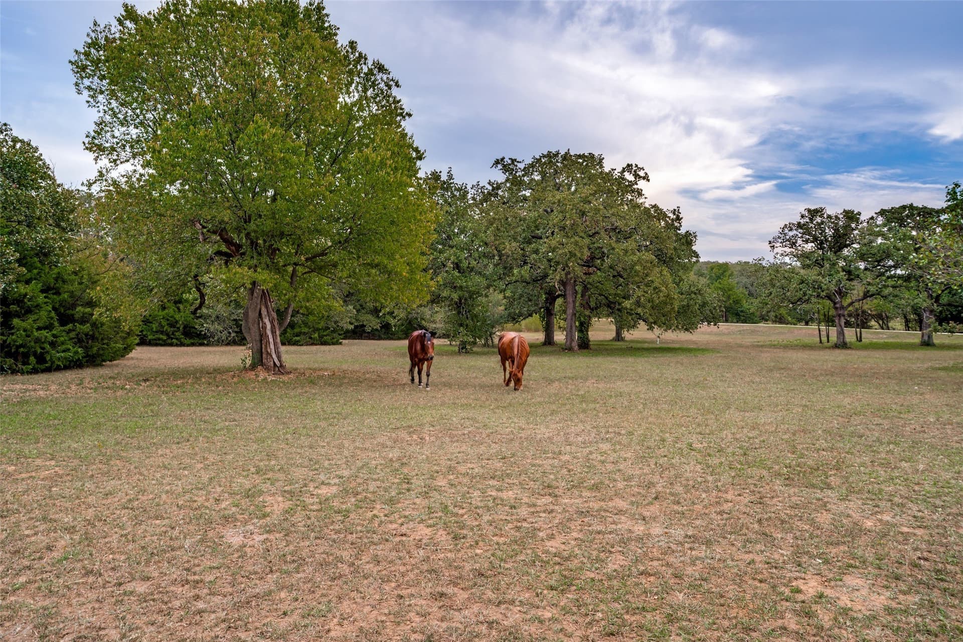 31.09 acres in Cooke County - photo 37