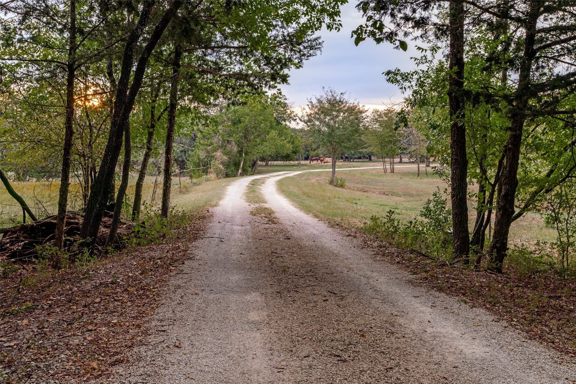 31.09 acres in Cooke County - photo 5