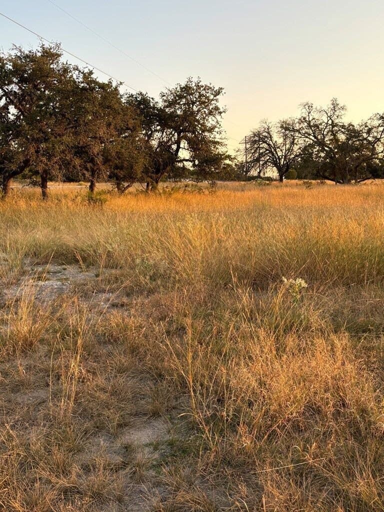 3.48 acres in Gillespie County - photo 29