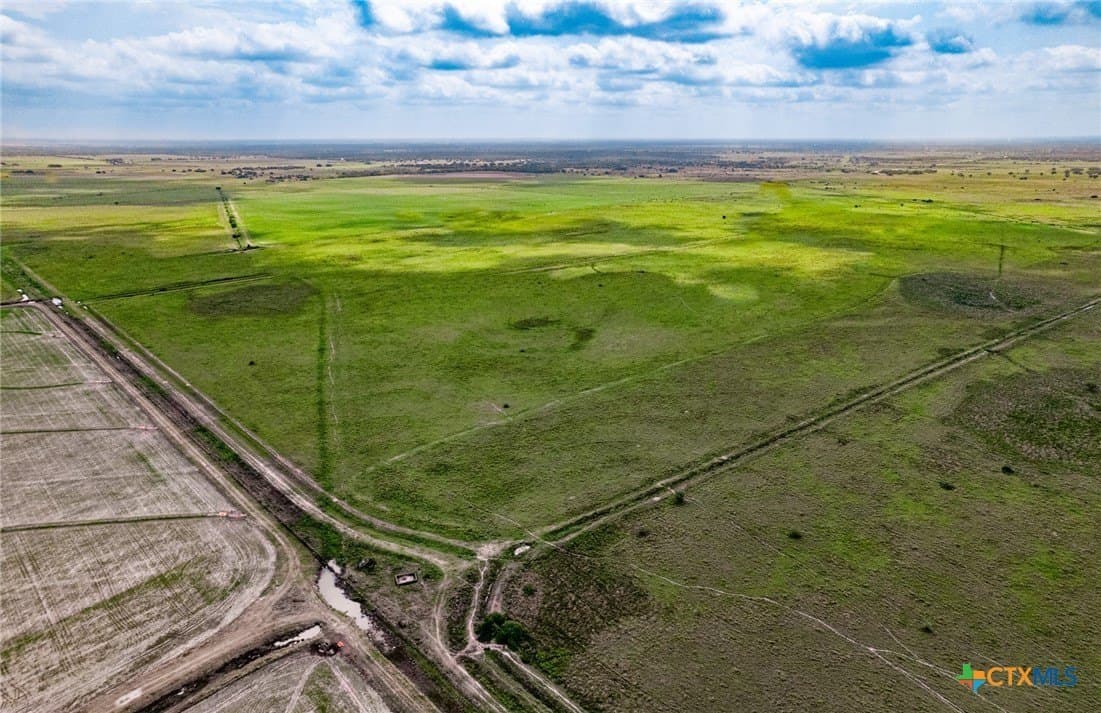 180 acres in Victoria County gallery image 4