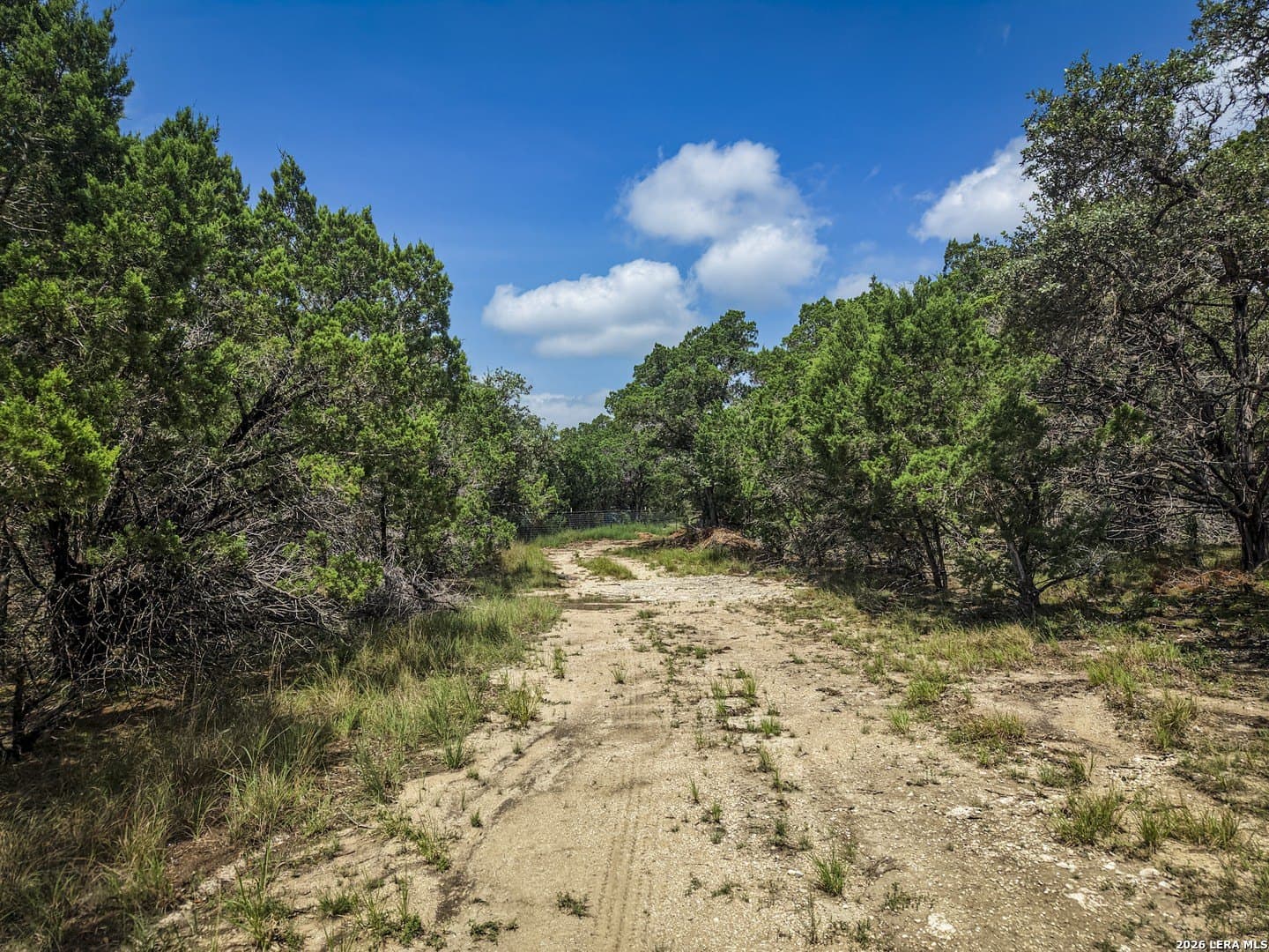5 acres in Bandera County - photo 15