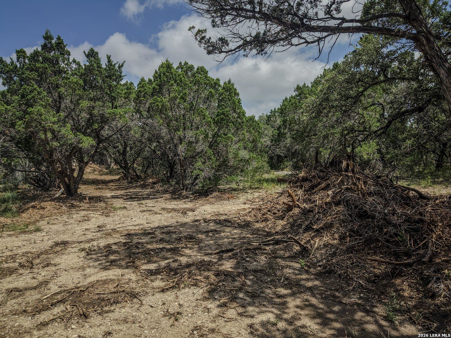 5 acres in Bandera County - photo 12