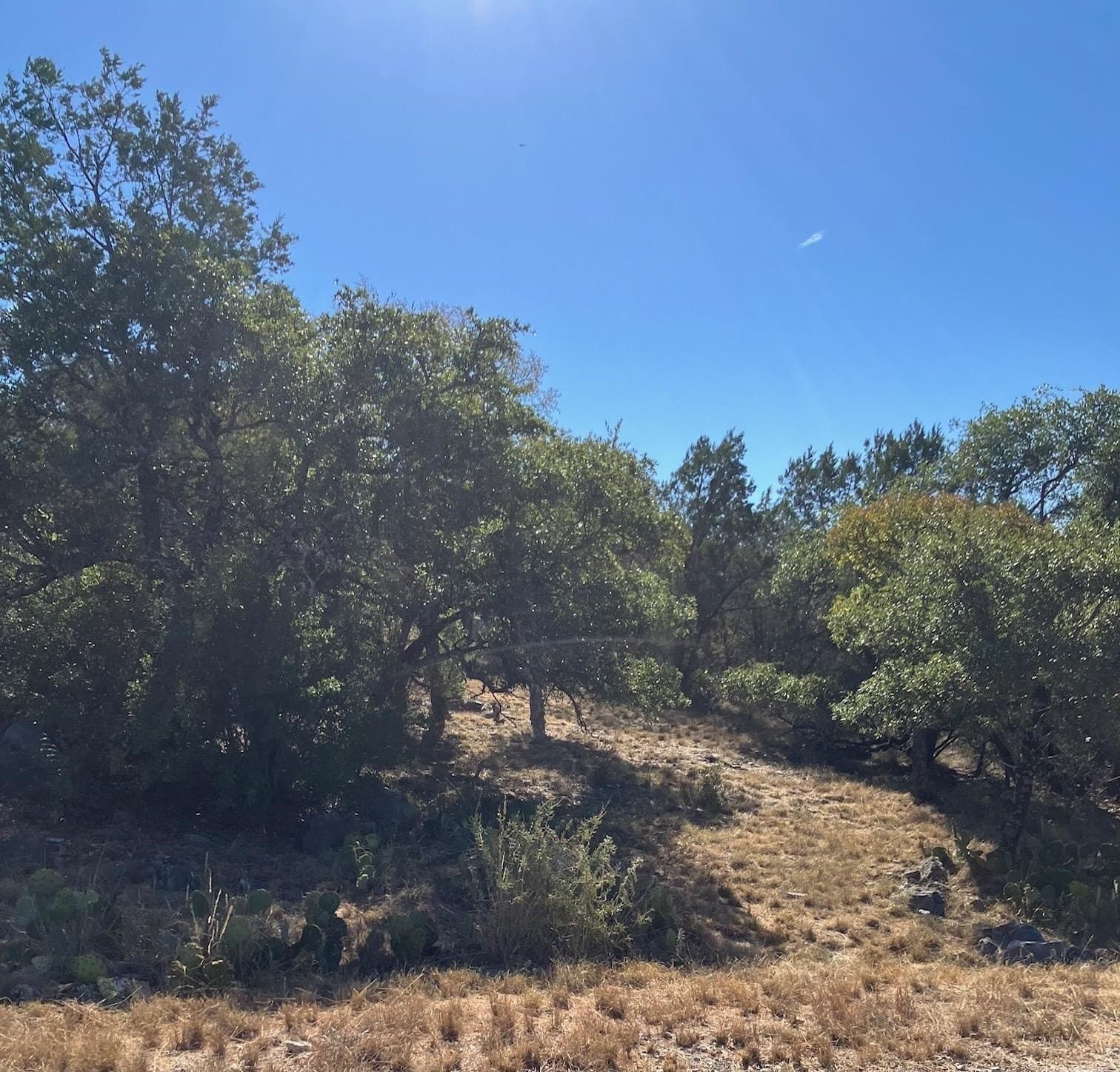 0.23 acres in Llano County gallery image 2