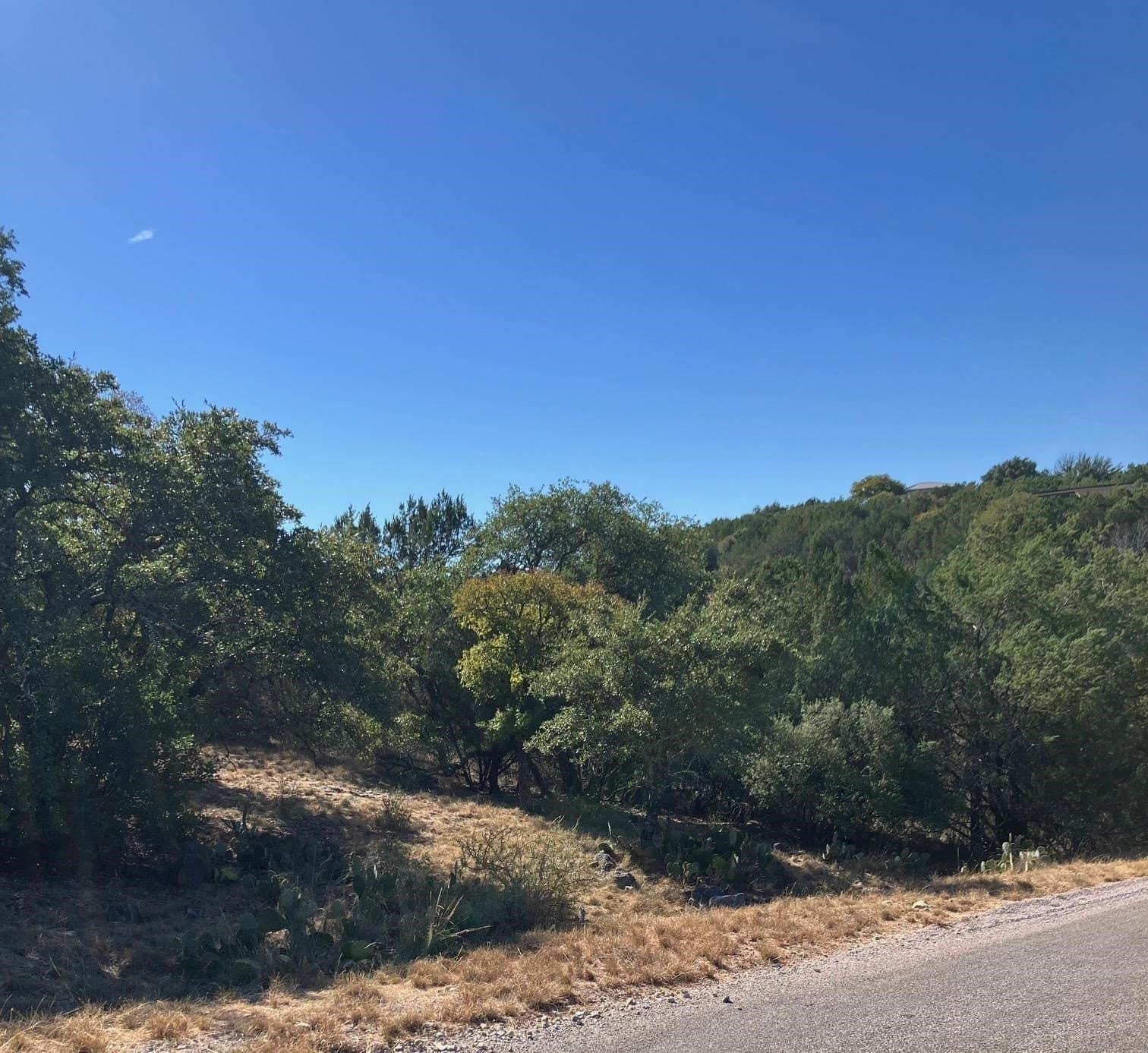0.23 acres in Llano County gallery image 3