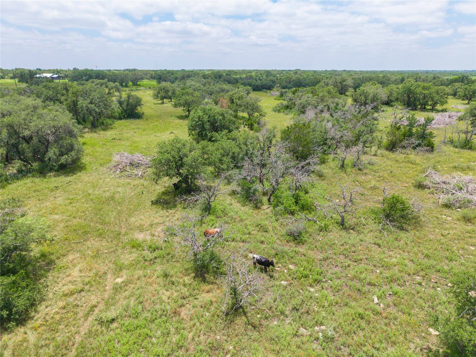 34.26 acres in Brown County - photo 26