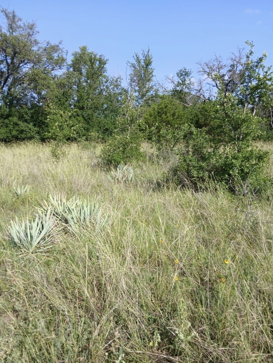 0.51 acres in Brown County gallery image 3