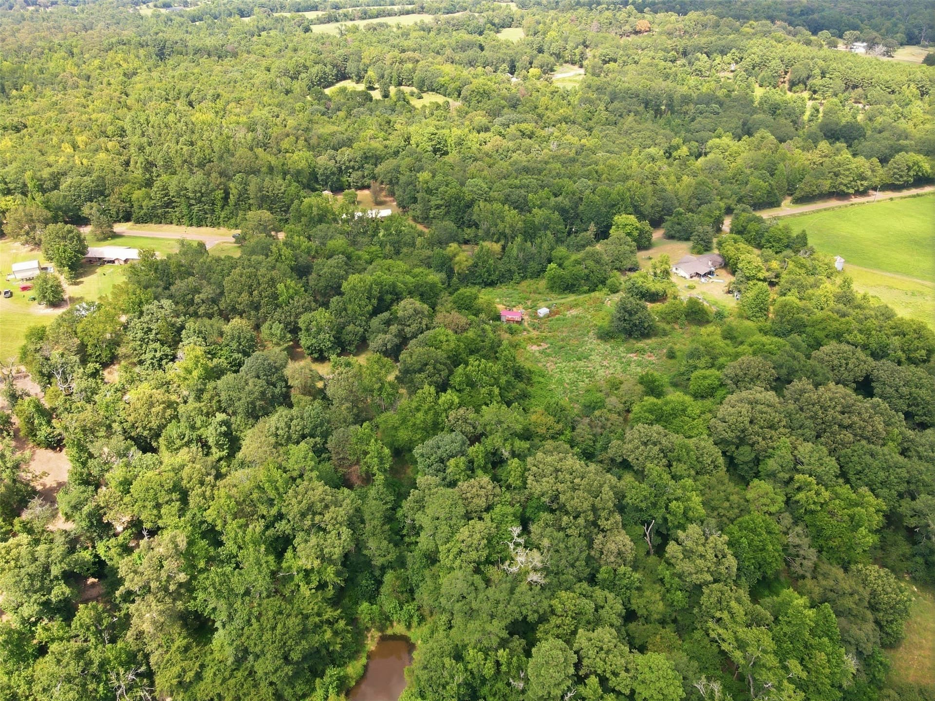 3.4 acres in Wood County - photo 9