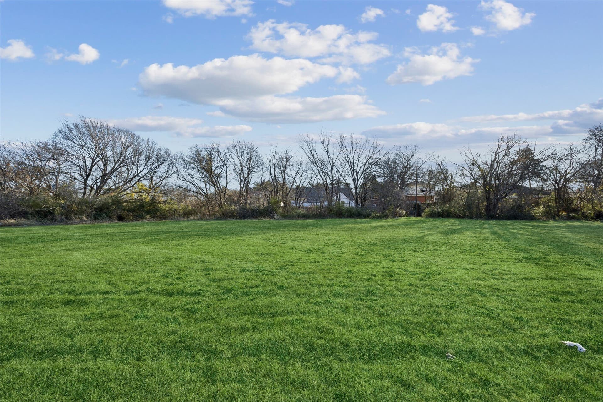 0.31 acres in Dallas County gallery image 2