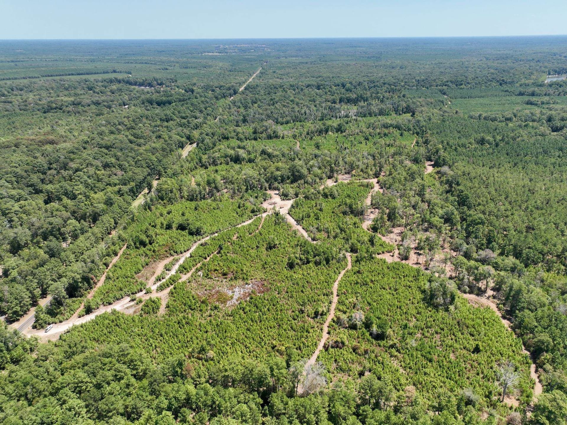24 acres in Texas County - photo 10