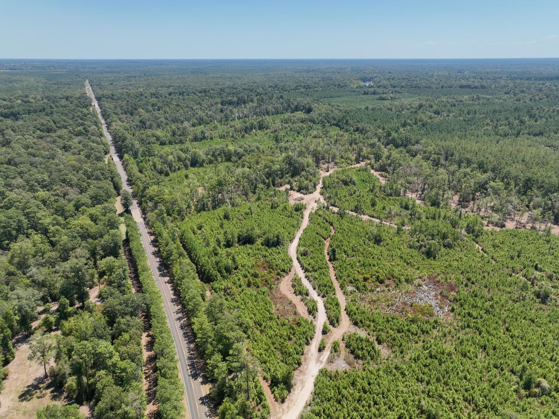 24 acres in Texas County - photo 3