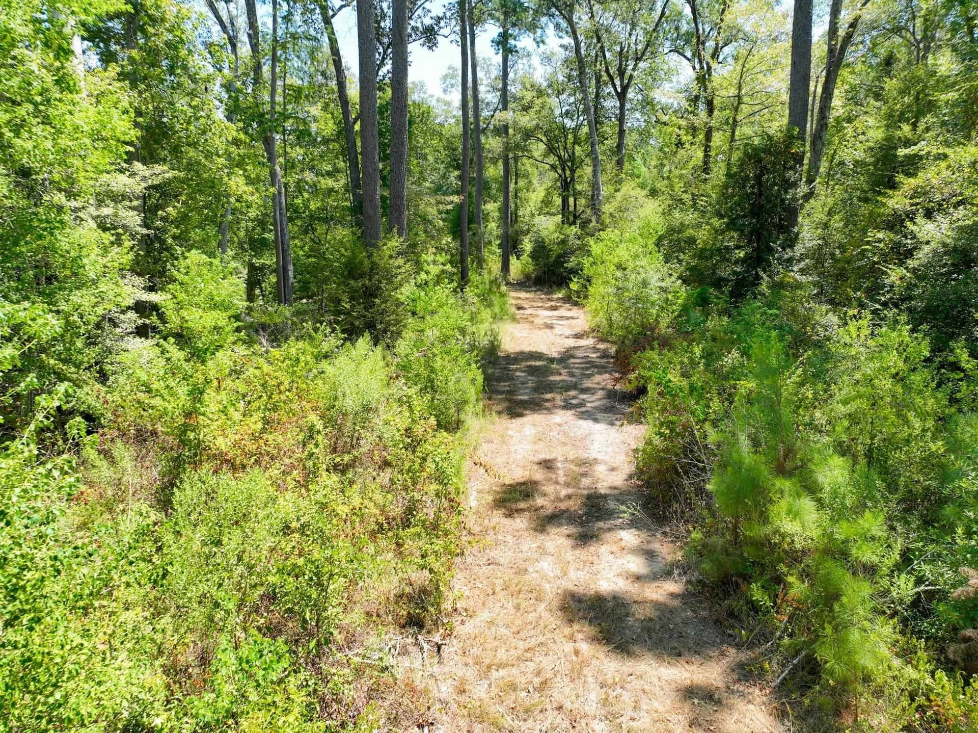 24 acres in Texas County - photo 6