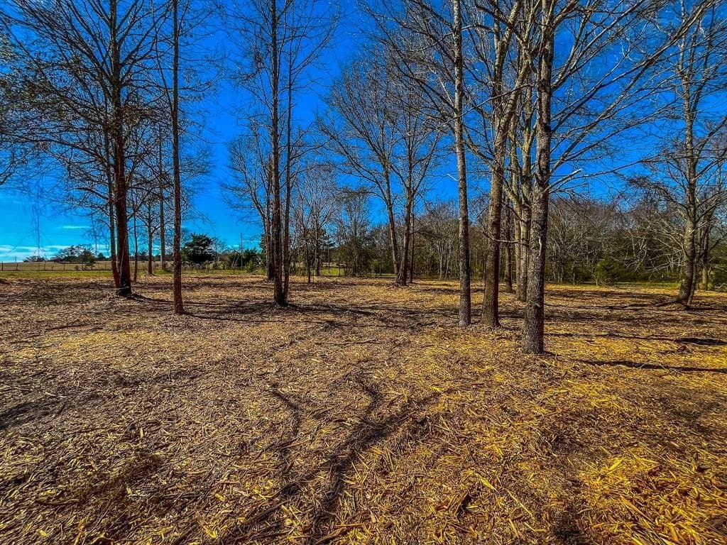 11.64 acres in Cherokee County gallery image 2