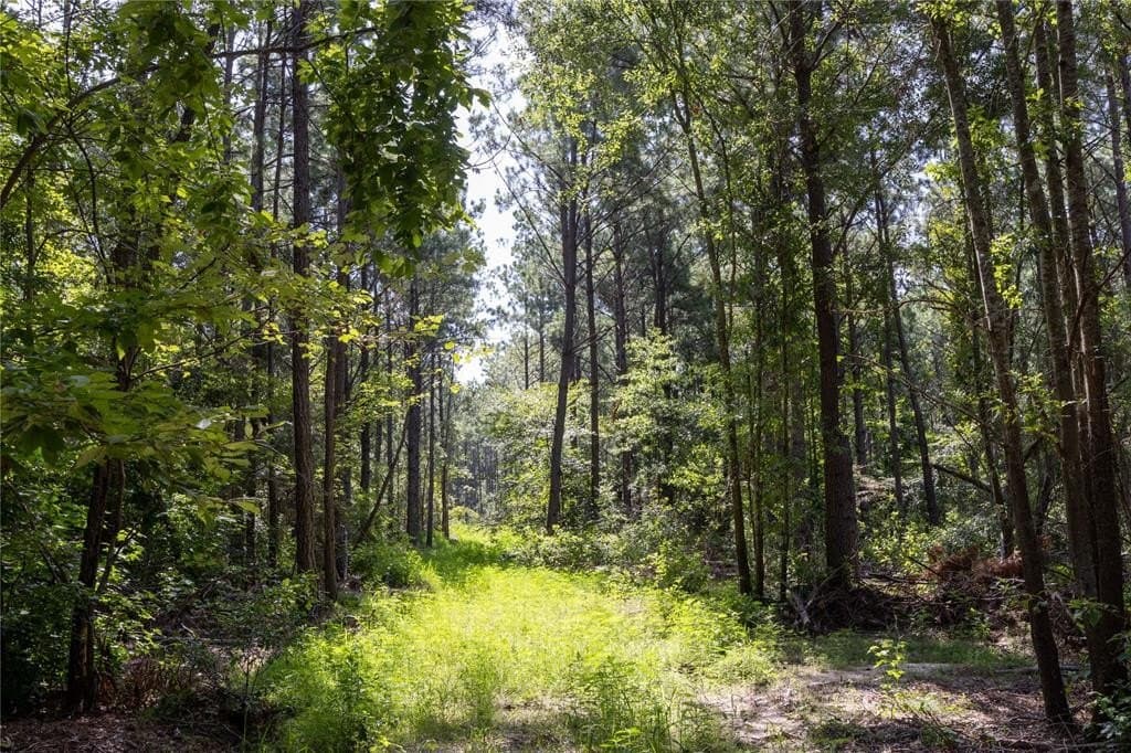 11.64 acres in Cherokee County featured view