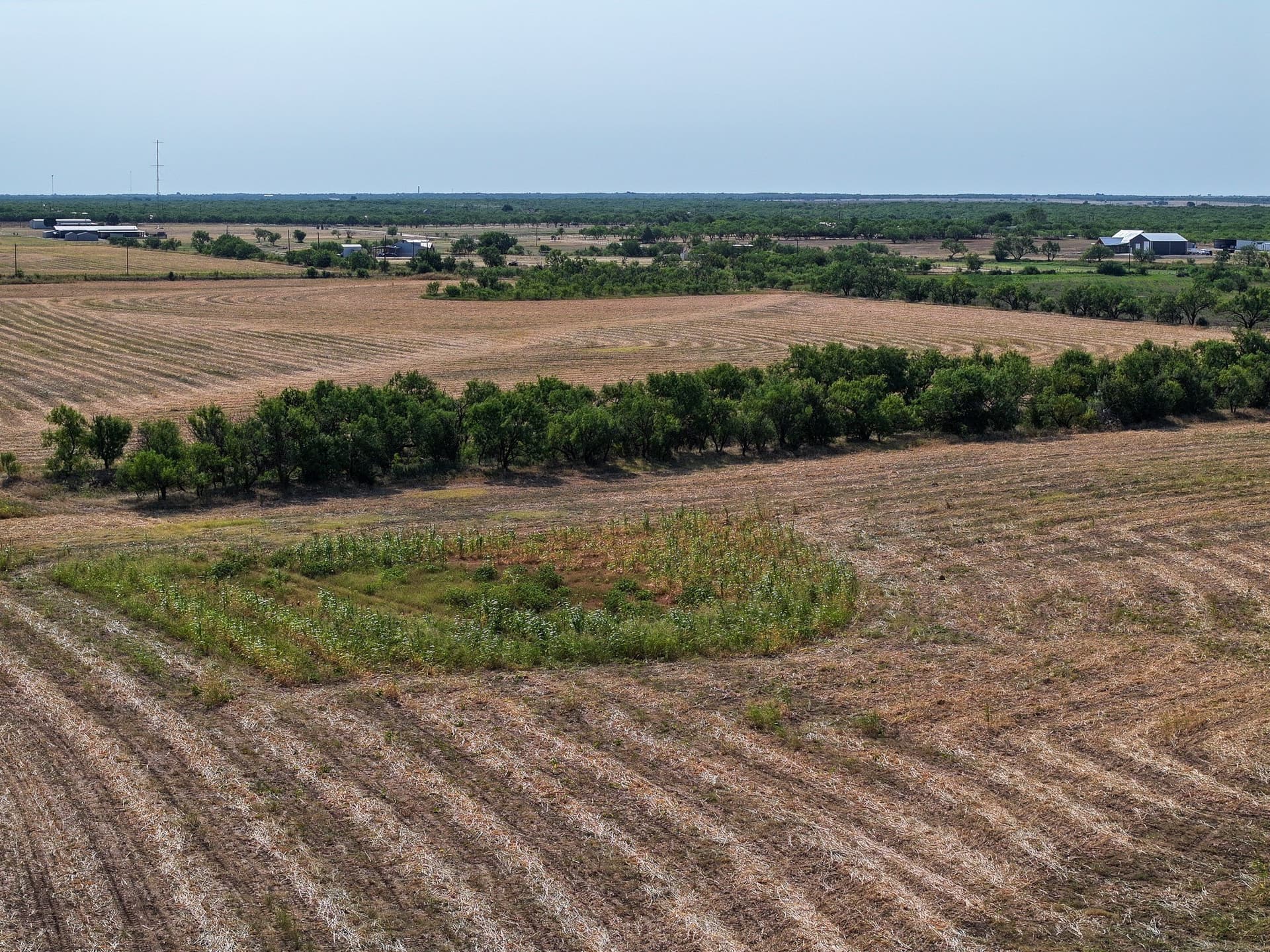 54.55 acres in Taylor County - photo 18