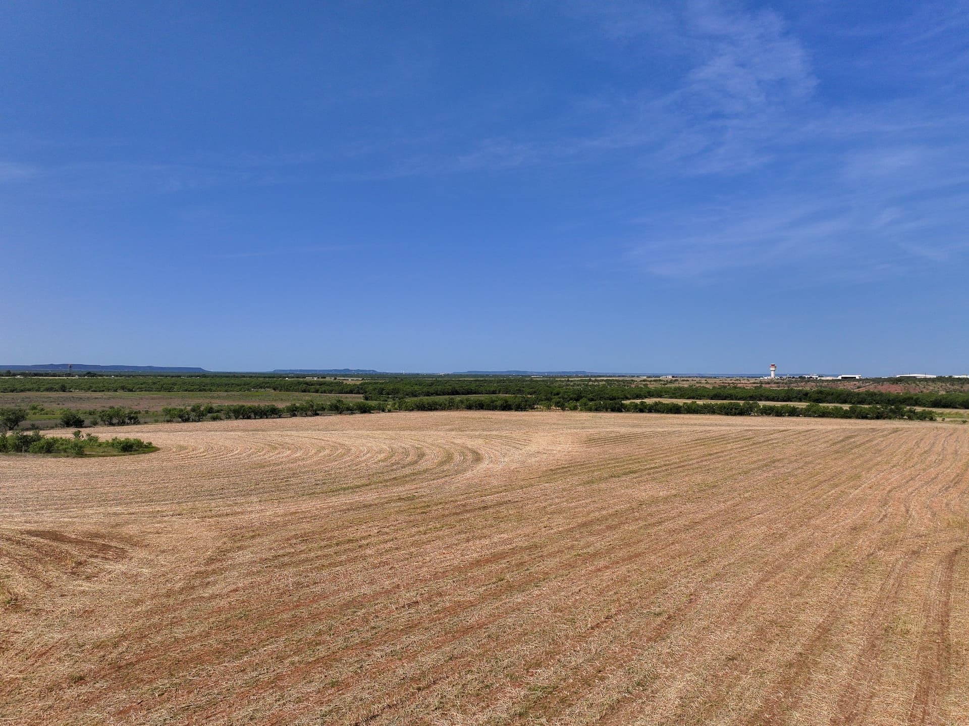 54.55 acres in Taylor County - photo 7