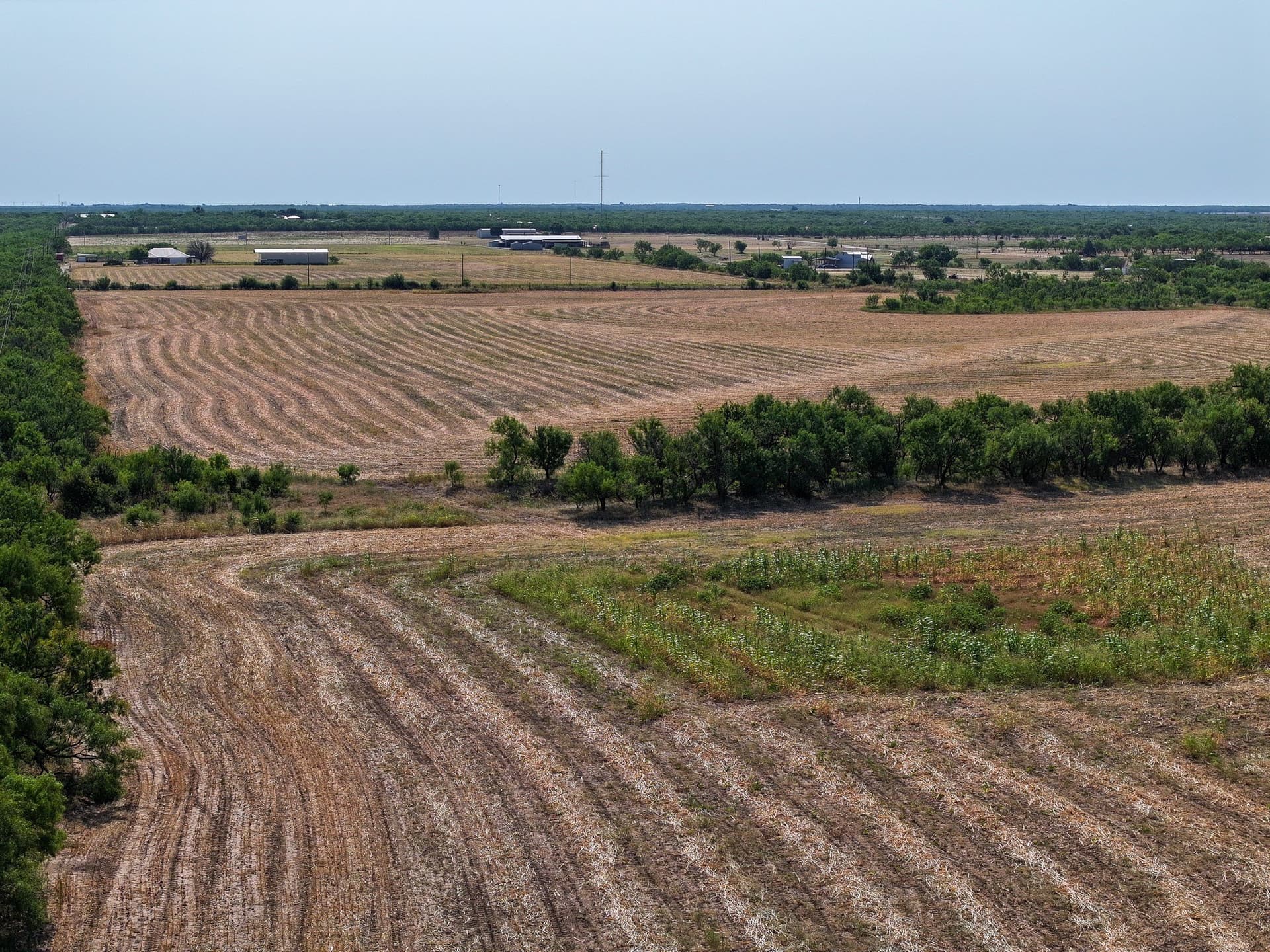 54.55 acres in Taylor County - photo 3