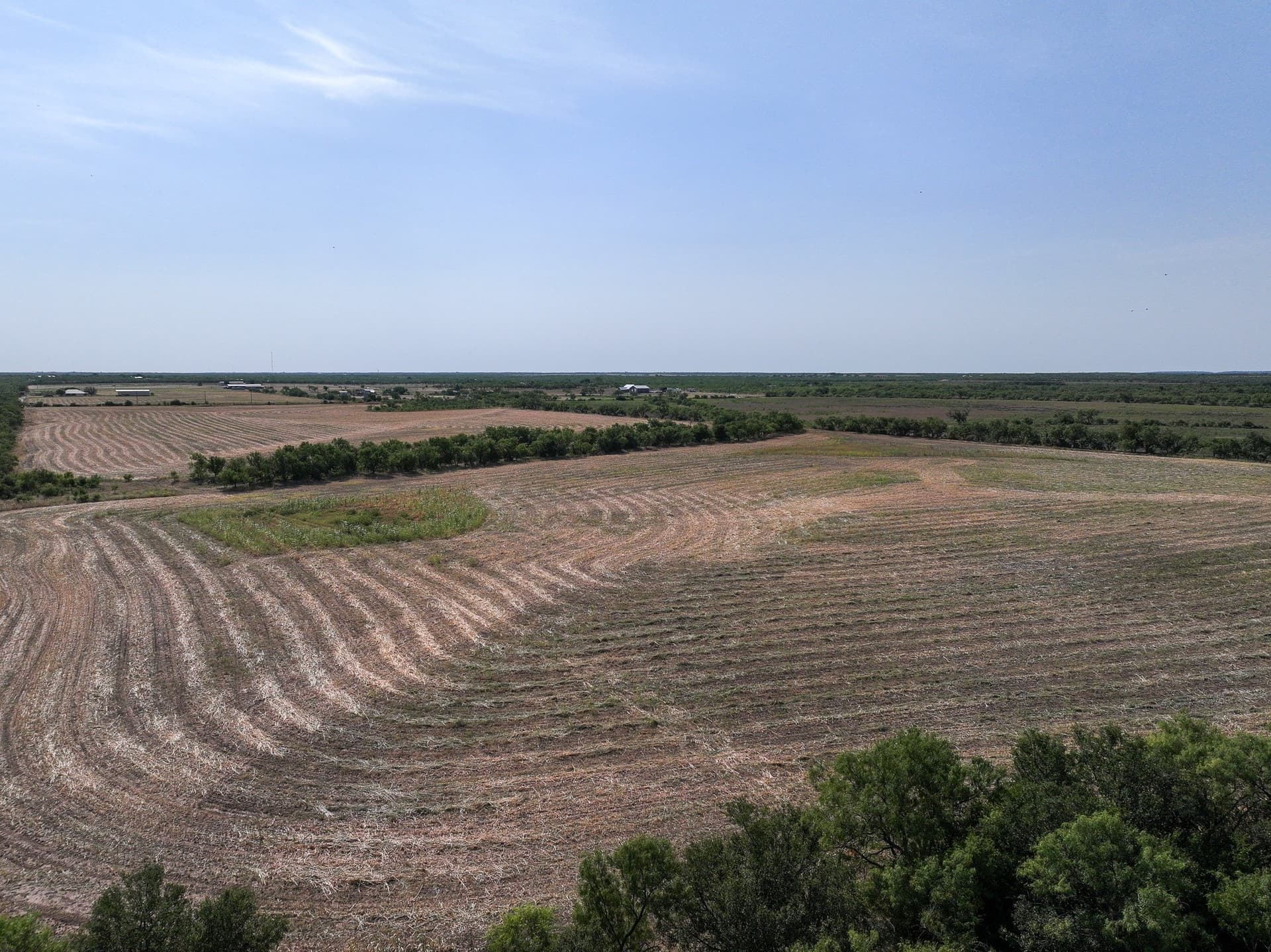 54.55 acres in Taylor County - photo 19