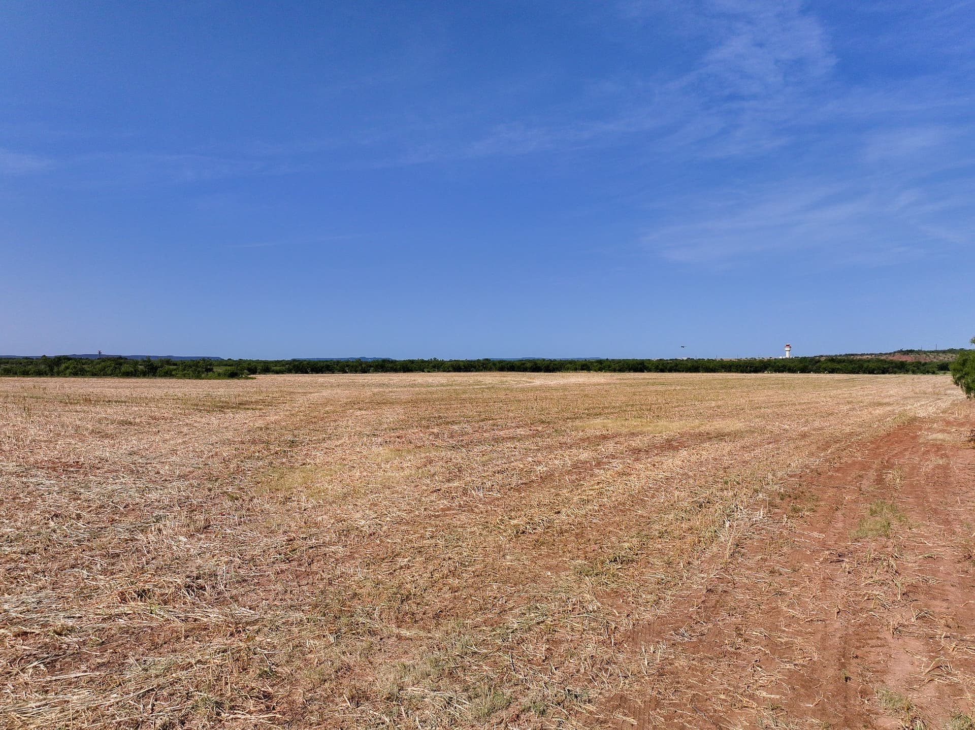 54.55 acres in Taylor County - photo 5
