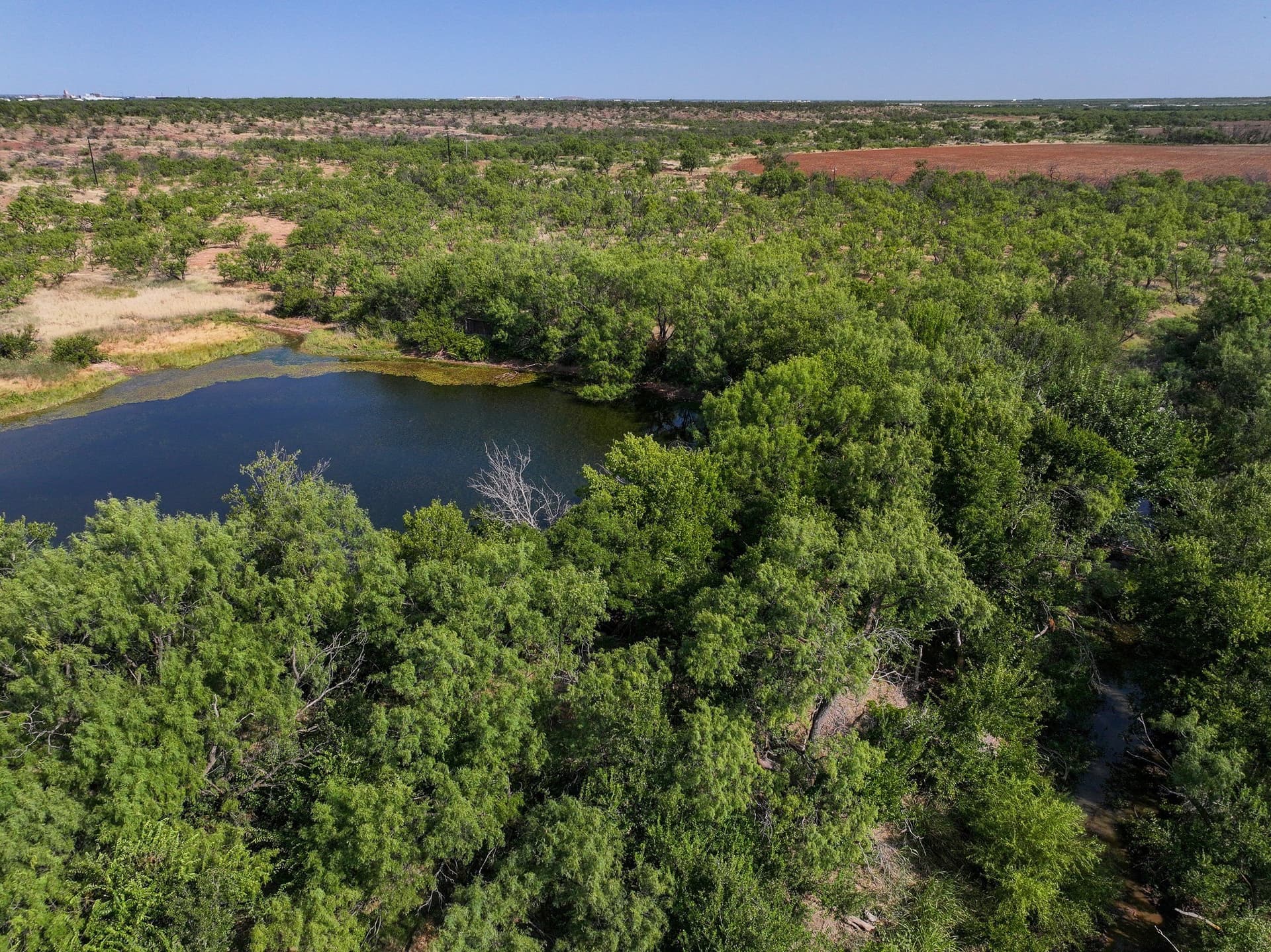 54.55 acres in Taylor County - photo 17