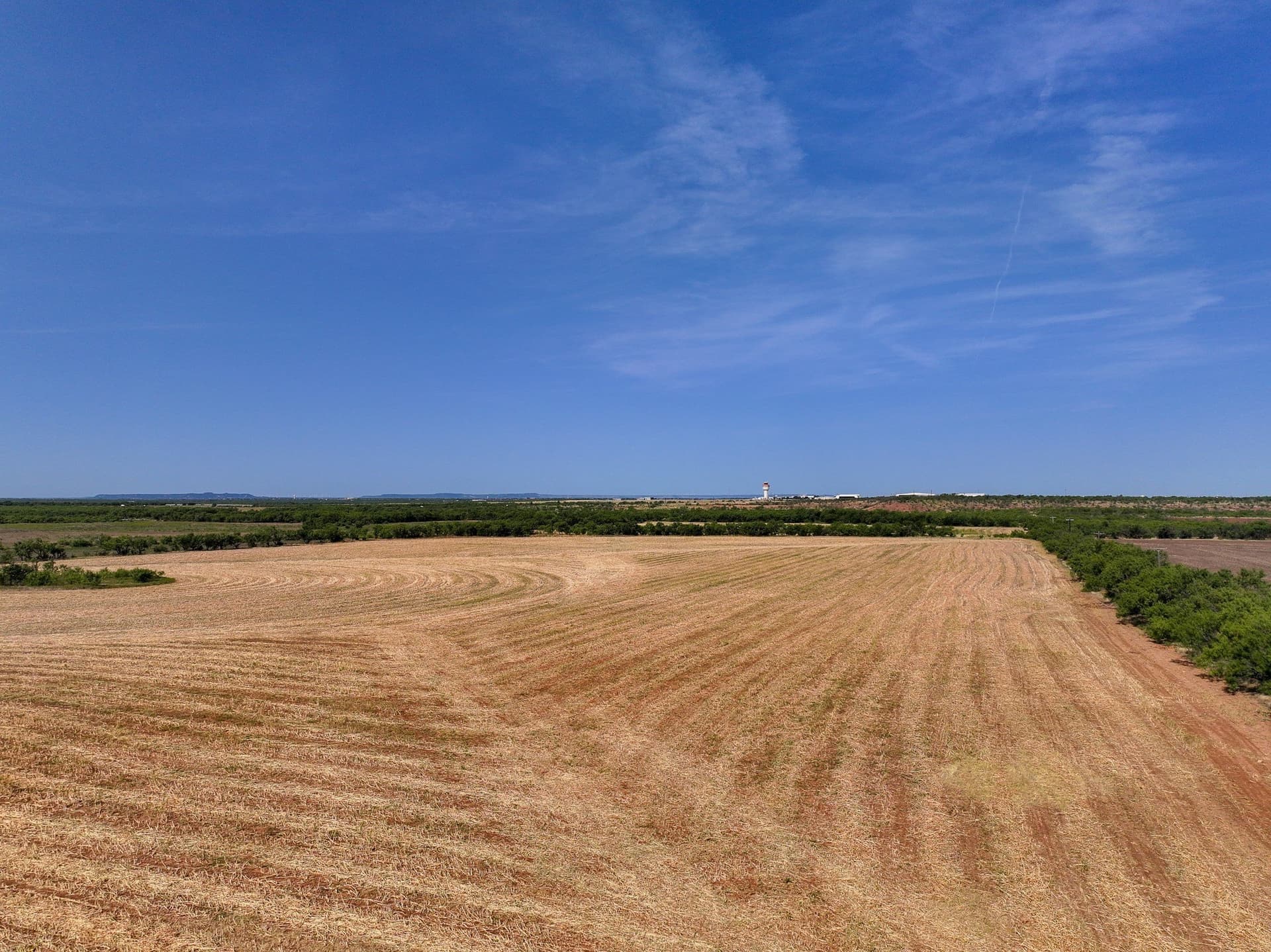 54.55 acres in Taylor County - photo 9