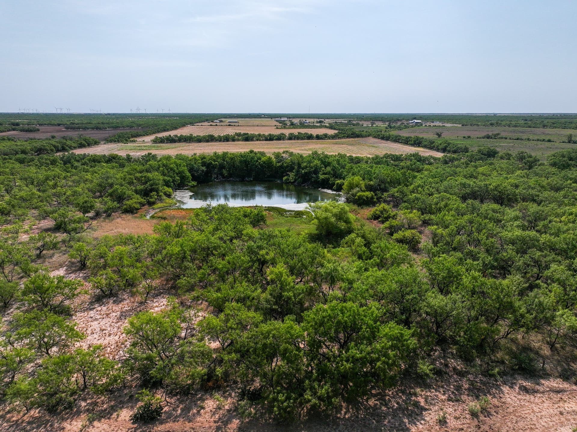 54.55 acres in Taylor County - photo 21