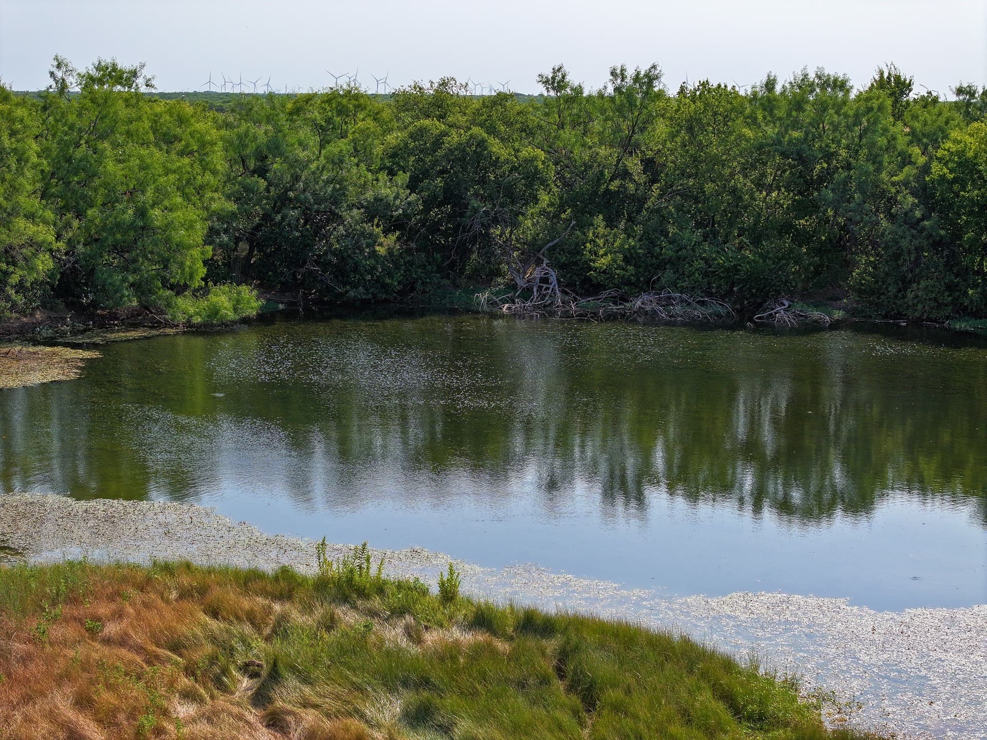54.55 acres in Taylor County - photo 10