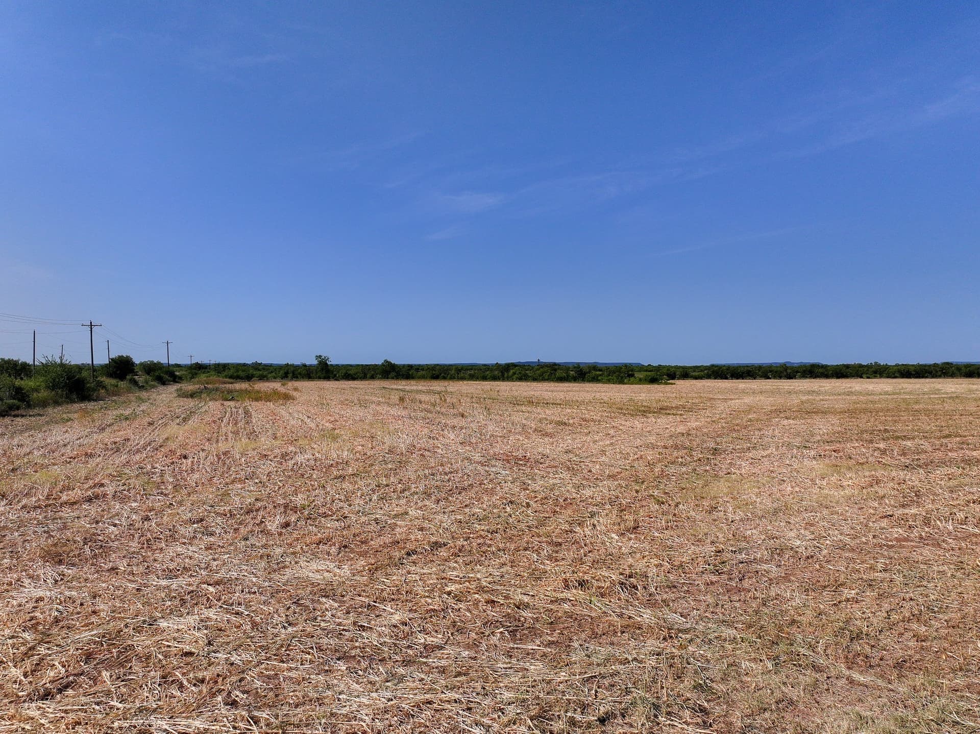 54.55 acres in Taylor County - photo 6
