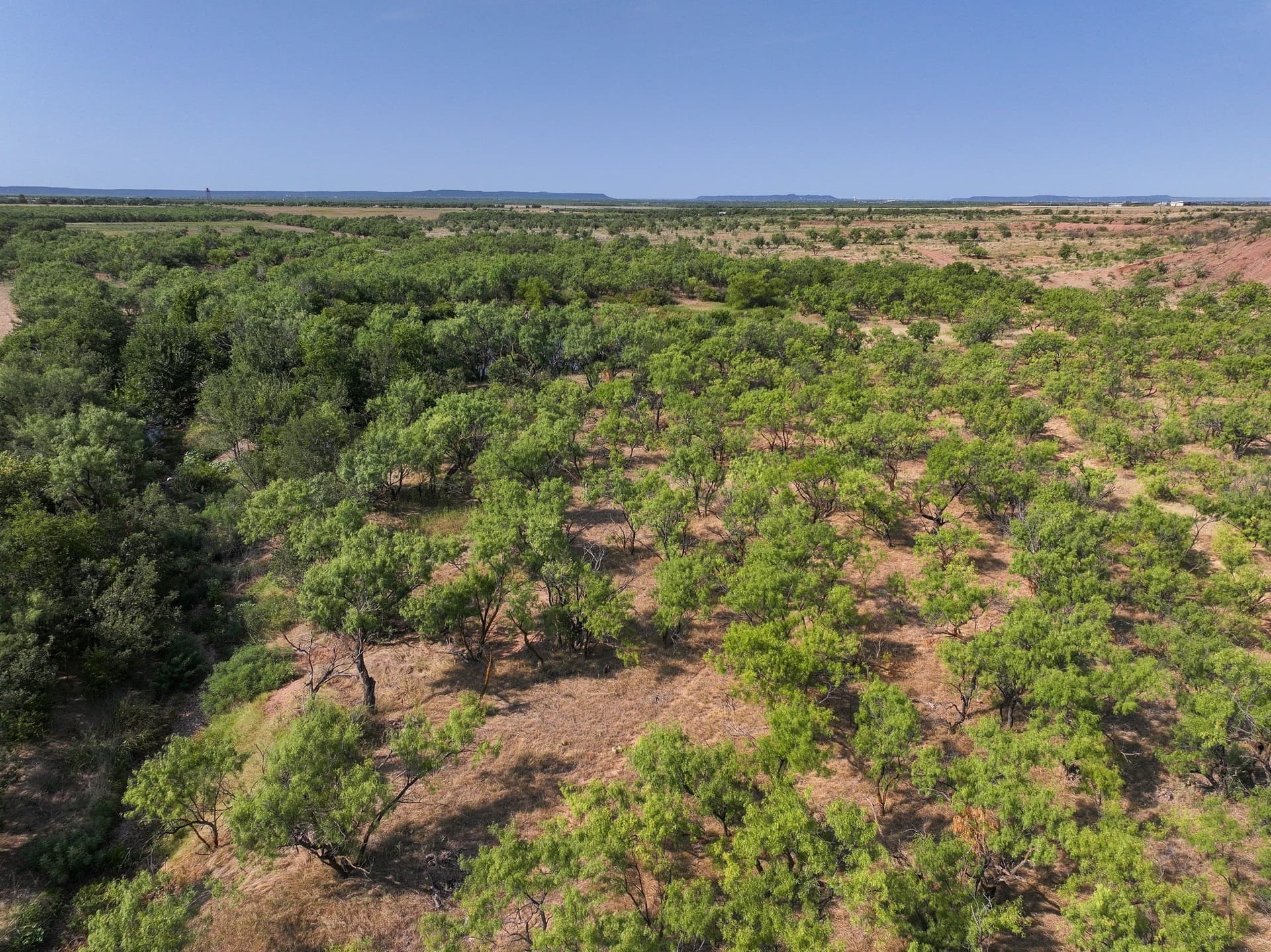 54.55 acres in Taylor County - photo 20