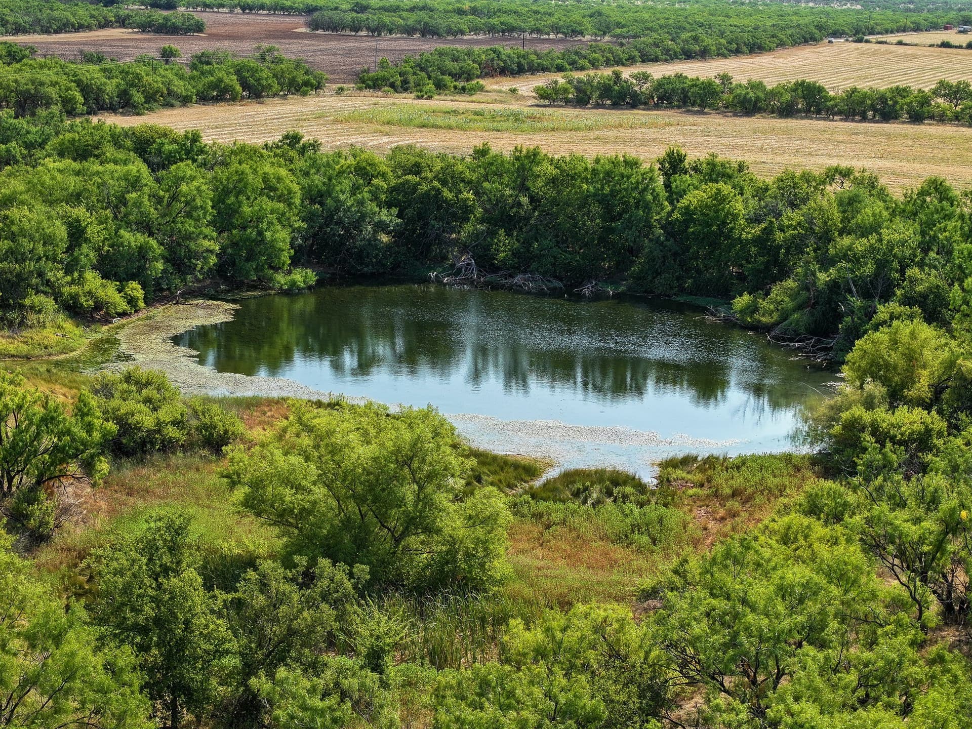 54.55 acres in Taylor County - photo 22