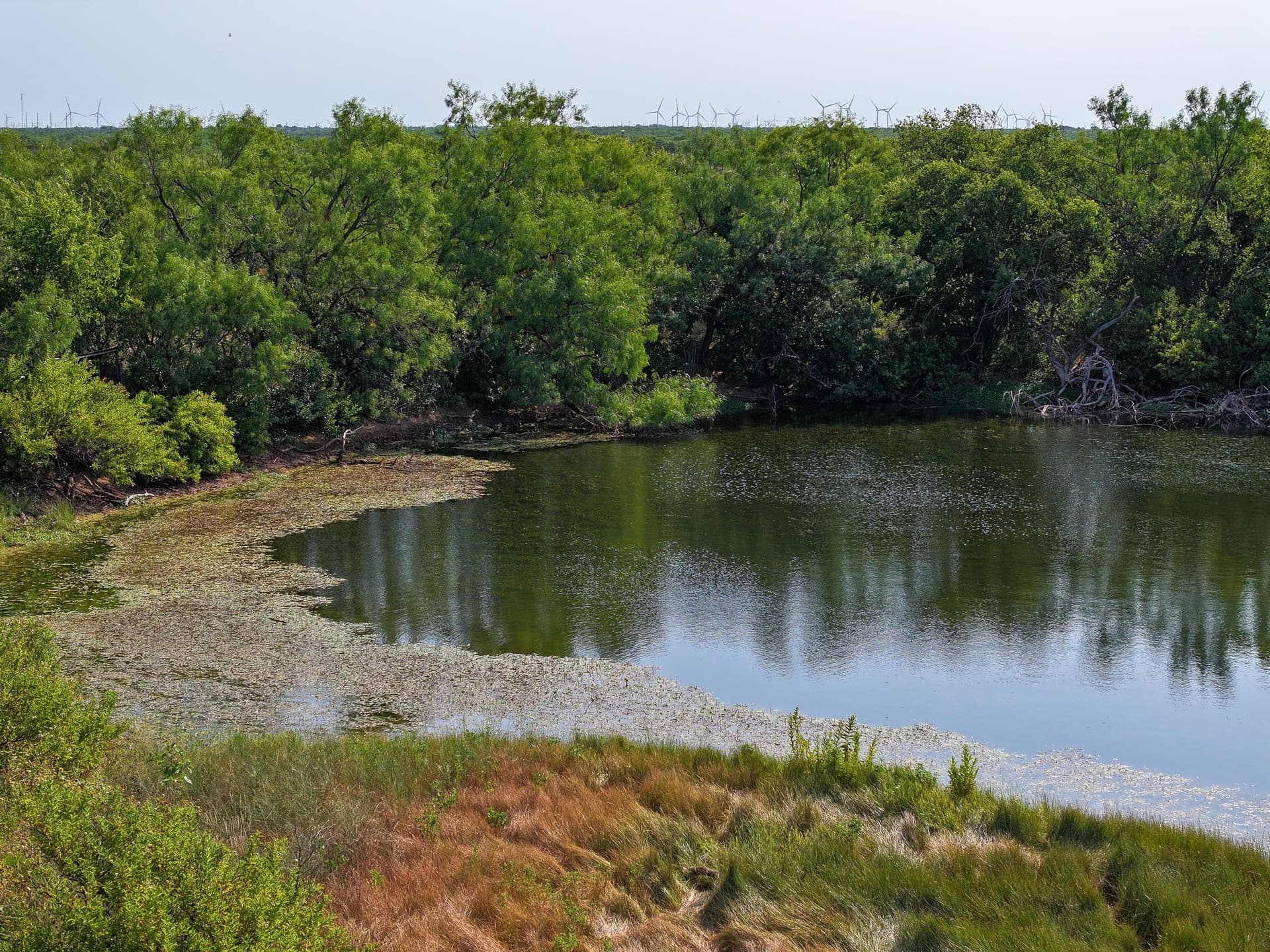 54.55 acres in Taylor County - photo 11