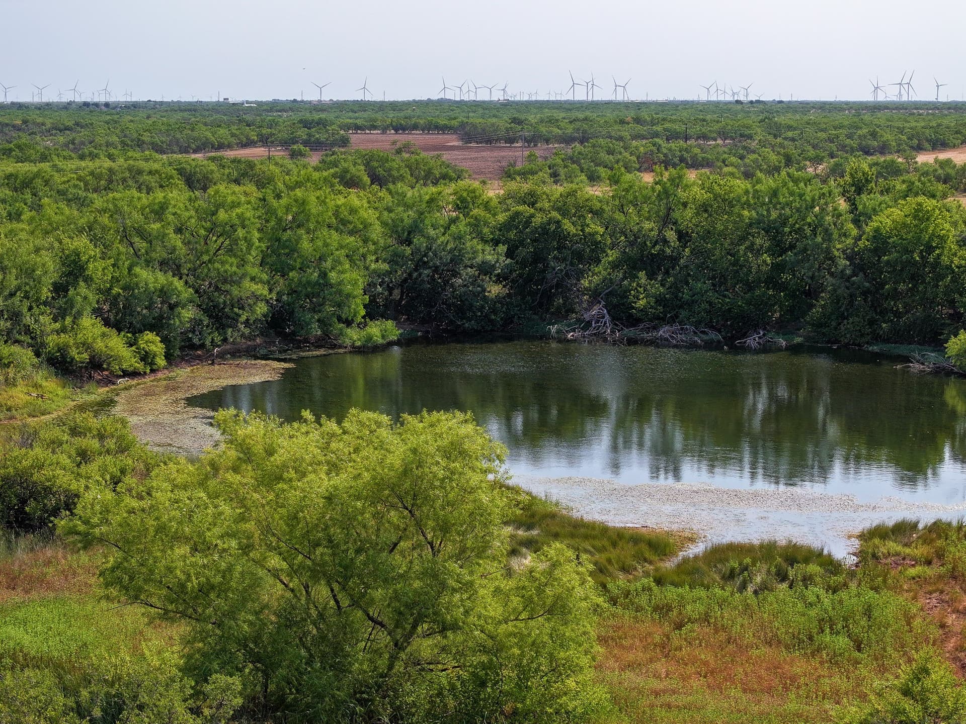 54.55 acres in Taylor County - photo 13