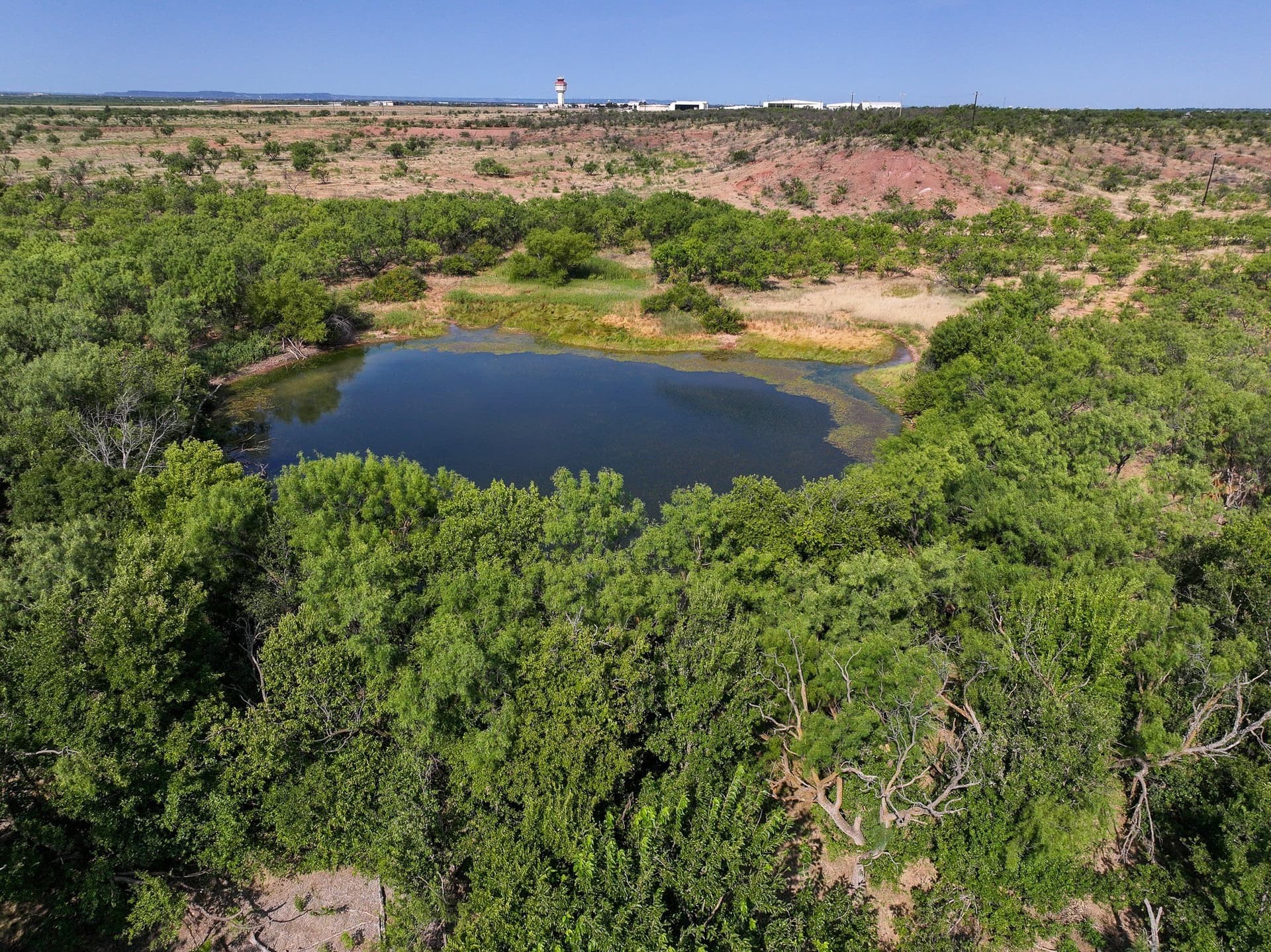 54.55 acres in Taylor County - photo 15
