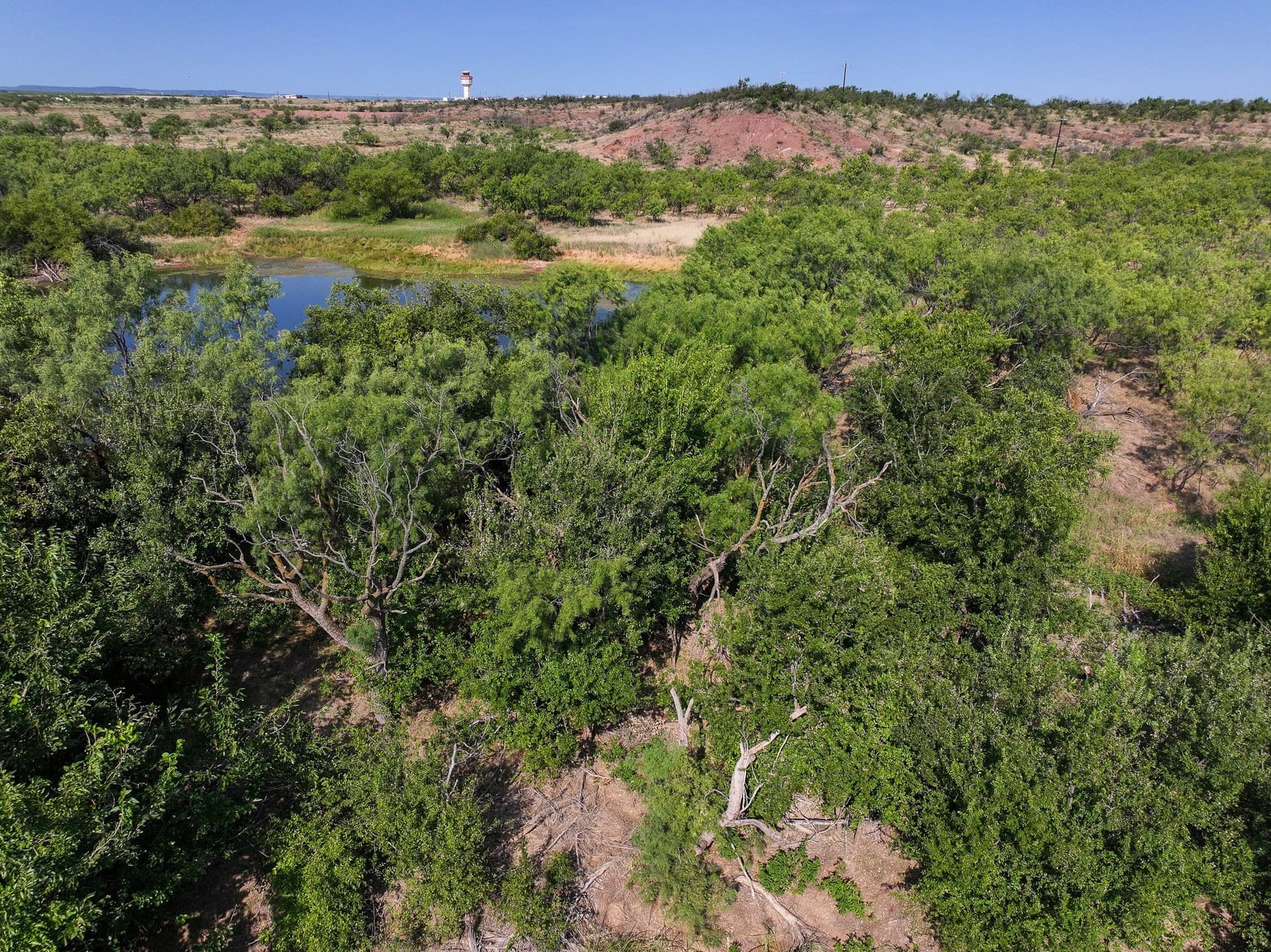 54.55 acres in Taylor County - photo 2