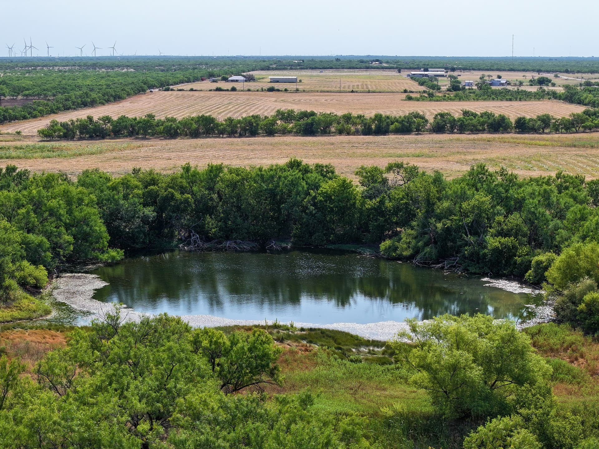 54.55 acres in Taylor County - photo 24