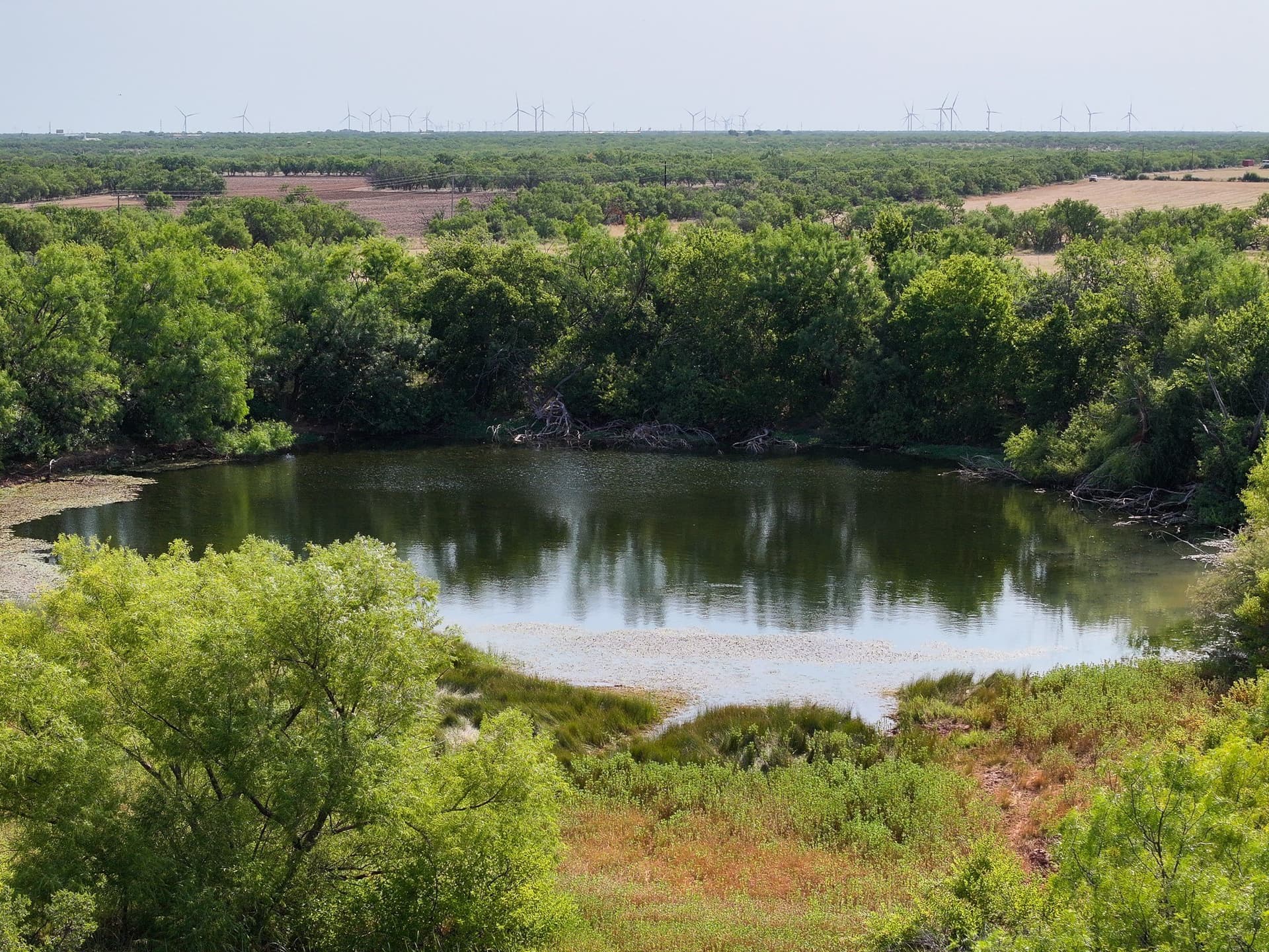54.55 acres in Taylor County - photo 12
