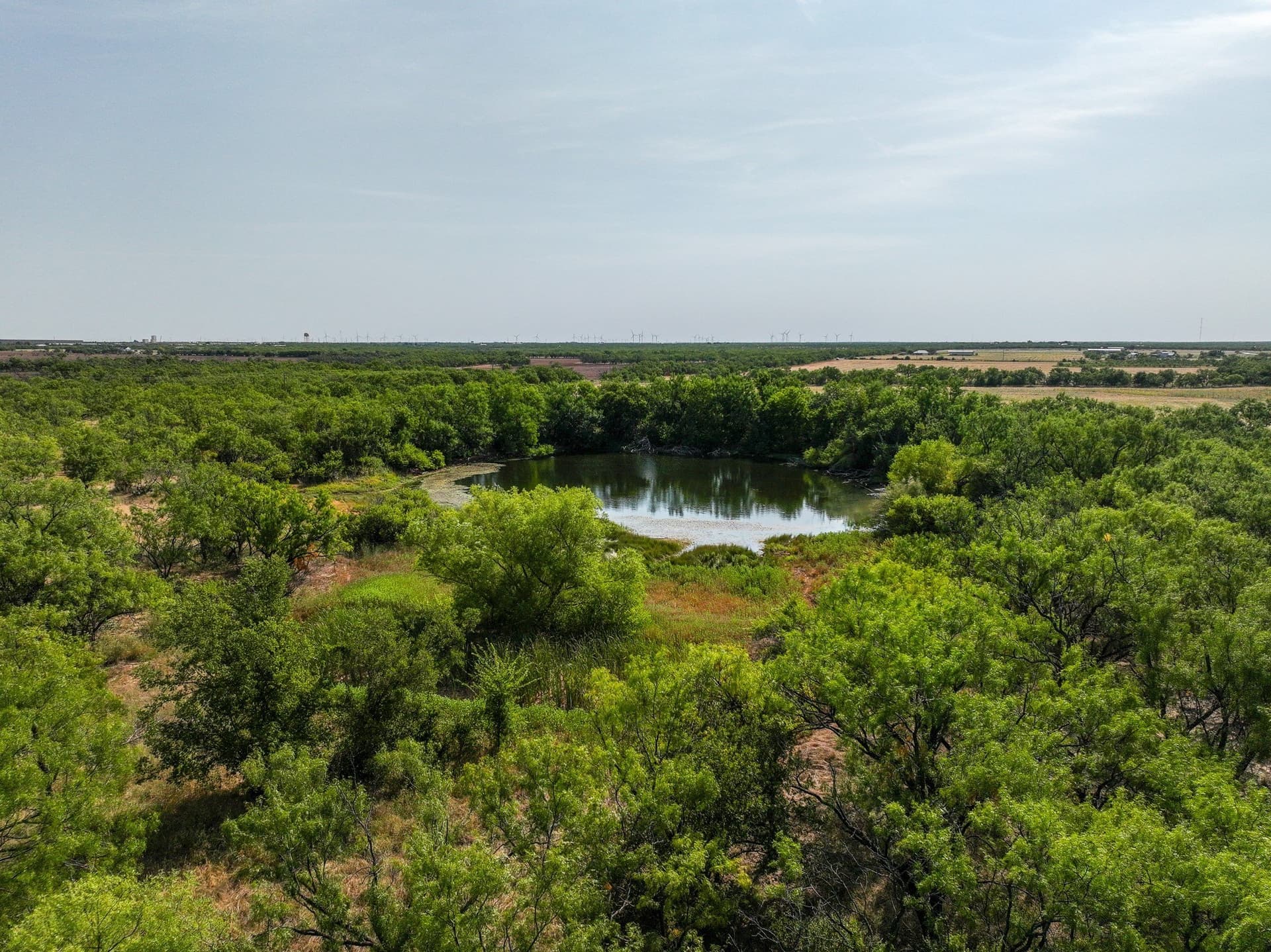 54.55 acres in Taylor County - photo 14