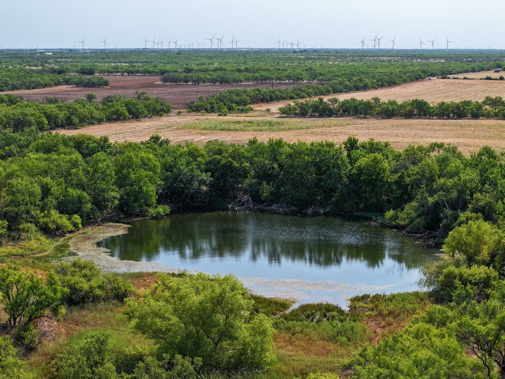 54.55 acres in Taylor County - photo 23