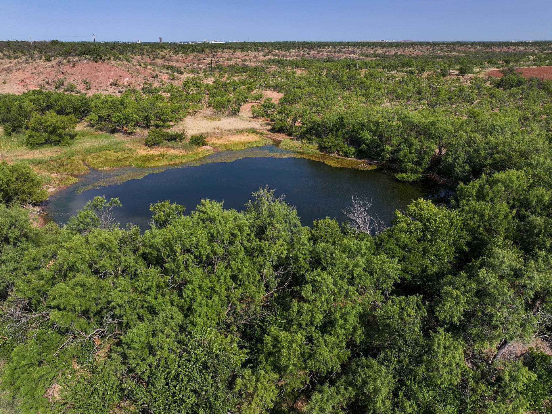 54.55 acres in Taylor County - photo 16